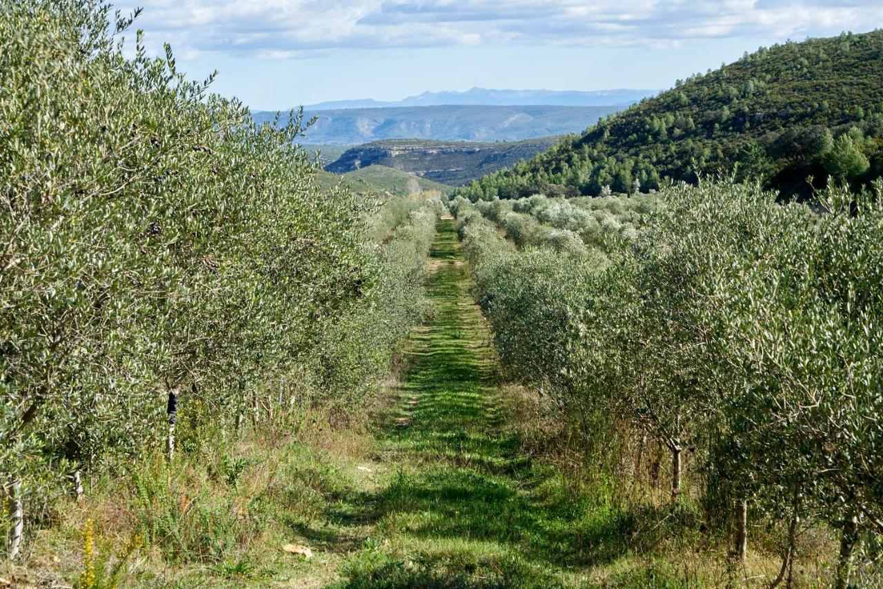 Finca Heredad La Boquilla Enguera المظهر الخارجي الصورة