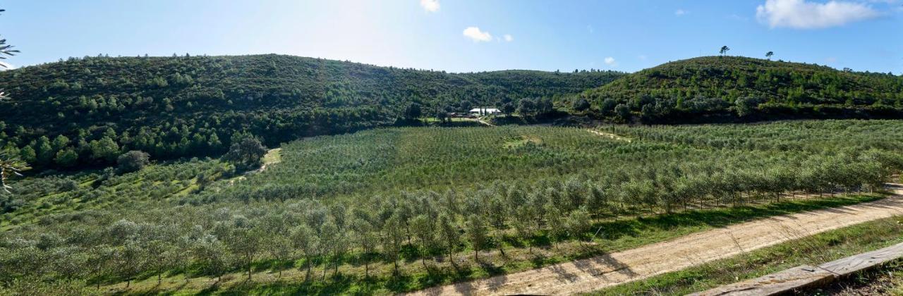 Finca Heredad La Boquilla Enguera المظهر الخارجي الصورة