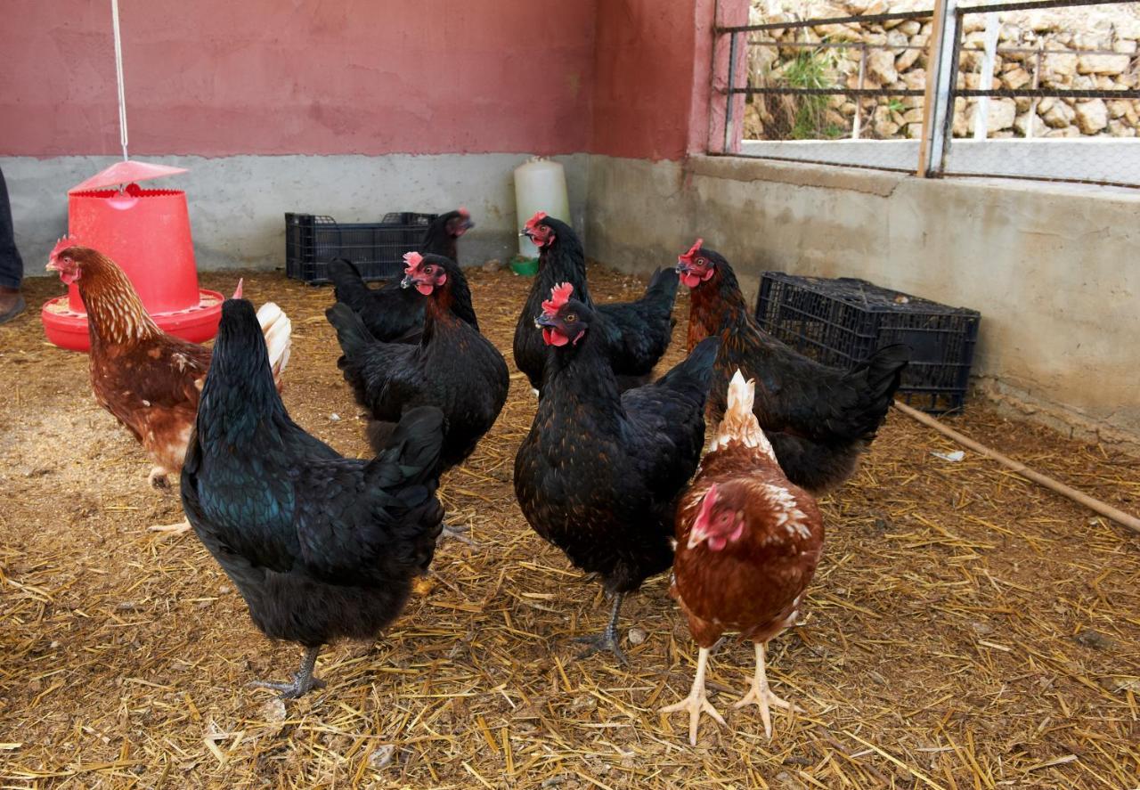 Finca Heredad La Boquilla Enguera المظهر الخارجي الصورة