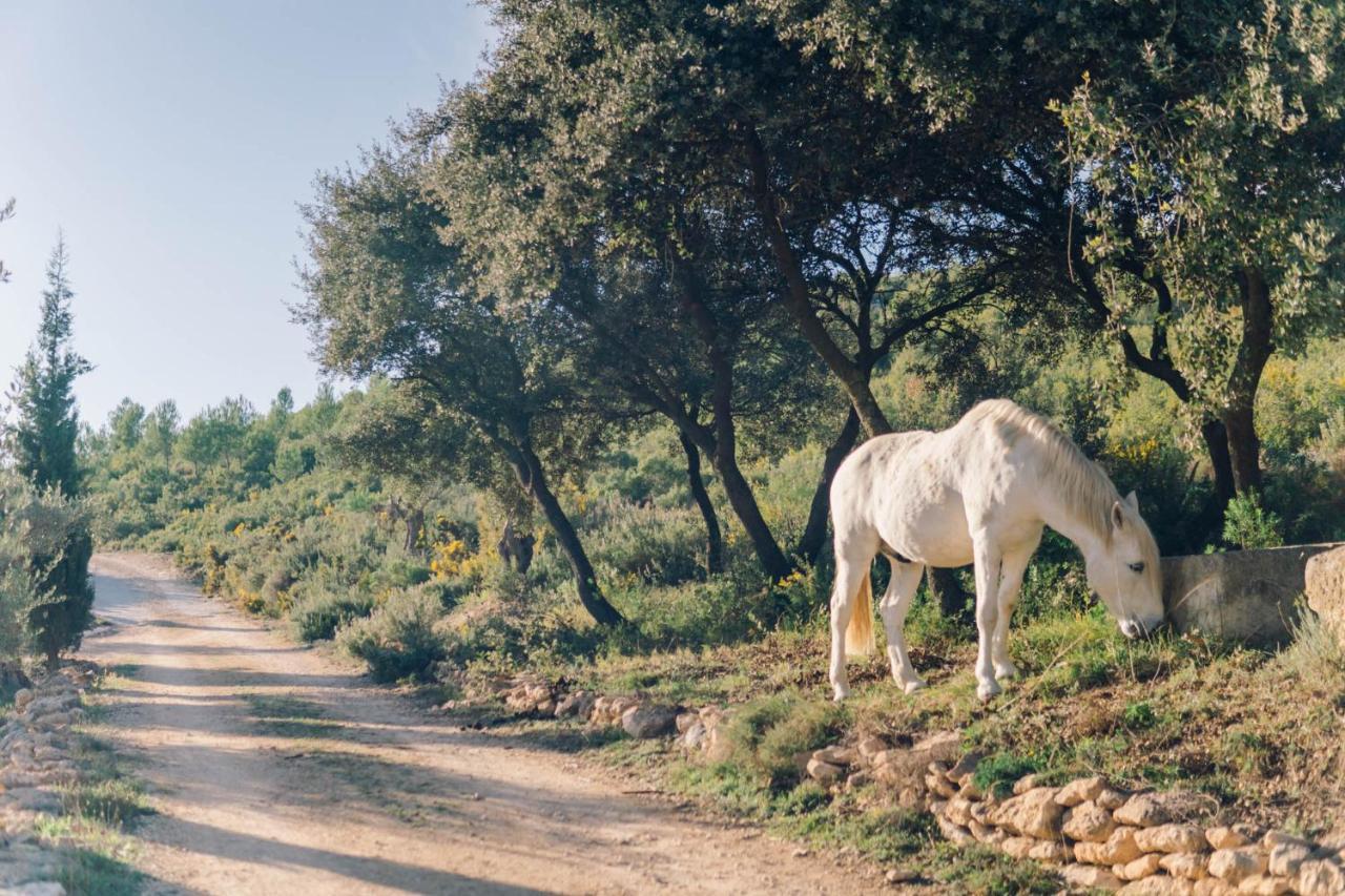 Finca Heredad La Boquilla Enguera المظهر الخارجي الصورة